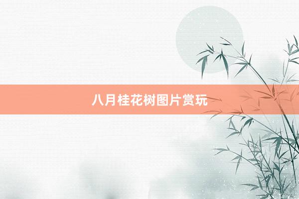 八月桂花树图片赏玩