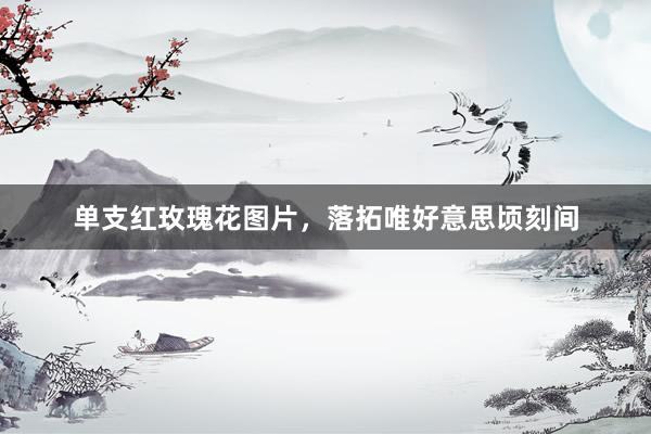 单支红玫瑰花图片，落拓唯好意思顷刻间