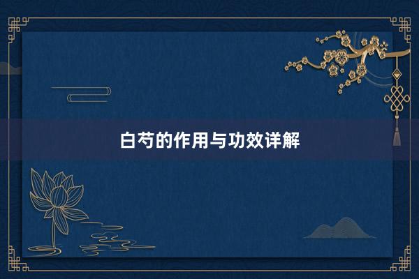 白芍的作用与功效详解