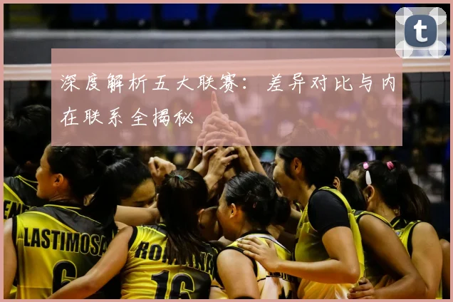深度解析五大联赛：差异对比与内在联系全揭秘