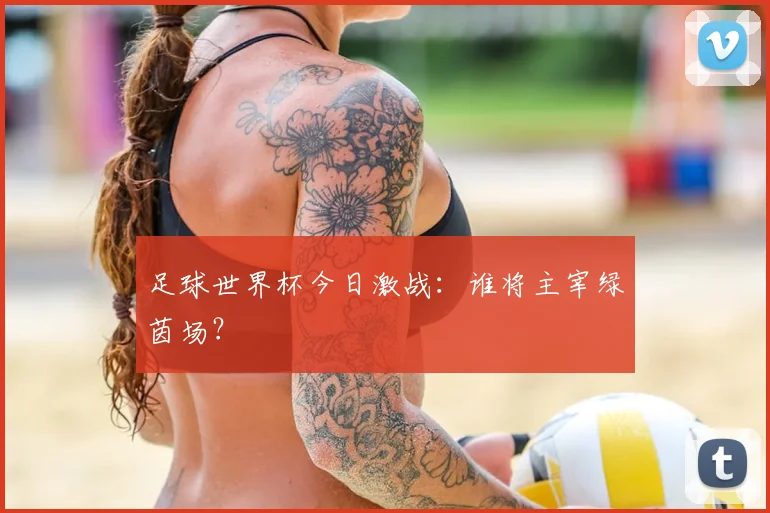 足球世界杯今日激战：谁将主宰绿茵场？