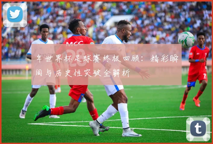 年世界杯足球赛终极回顾:精彩瞬间与历史性突破全解析