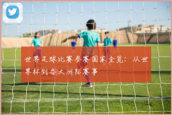世界足球比赛参赛国家全览:从世界杯到各大洲际赛事